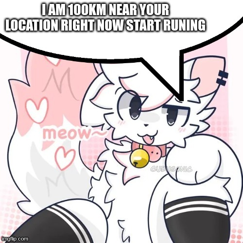 run >:) | I AM 100KM NEAR YOUR LOCATION RIGHT NOW START RUNING | image tagged in femboy boykisser speech bubble | made w/ Imgflip meme maker
