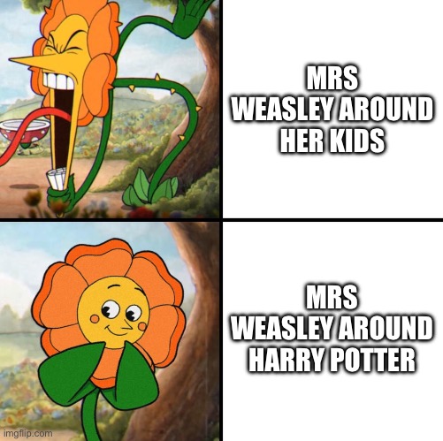 My first Harry Potter meme | MRS WEASLEY AROUND HER KIDS; MRS WEASLEY AROUND HARRY POTTER | image tagged in angry flower,harry potter | made w/ Imgflip meme maker