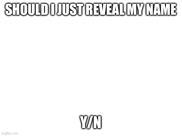 SHOULD I JUST REVEAL MY NAME; Y/N | made w/ Imgflip meme maker