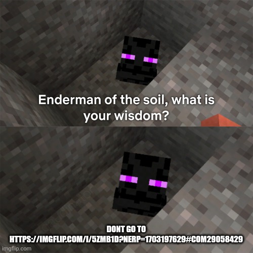 Enderman of the soil | DONT GO TO HTTPS://IMGFLIP.COM/I/5ZMB1D?NERP=1703197629#COM29058429 | image tagged in enderman of the soil | made w/ Imgflip meme maker