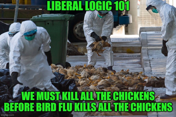 Liberal Logic | LIBERAL LOGIC 101; WE MUST KILL ALL THE CHICKENS BEFORE BIRD FLU KILLS ALL THE CHICKENS | made w/ Imgflip meme maker