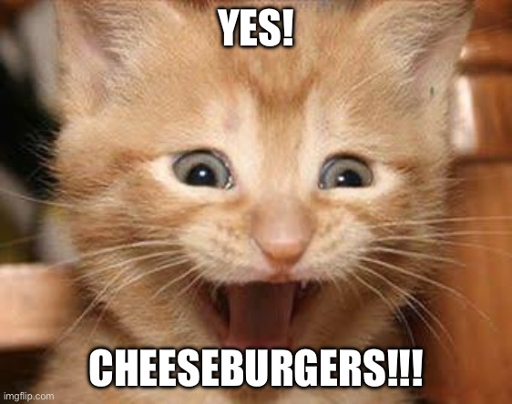 Cheeseburger cat | YES! CHEESEBURGERS!!! | image tagged in memes,excited cat | made w/ Imgflip meme maker