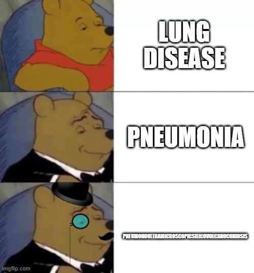 The last word is my favorite word | LUNG DISEASE; PNEUMONIA; PNEUMONOULTRAMICROSCOPICSILICOVOLCANOCONIOSIS | image tagged in fancy pooh | made w/ Imgflip meme maker