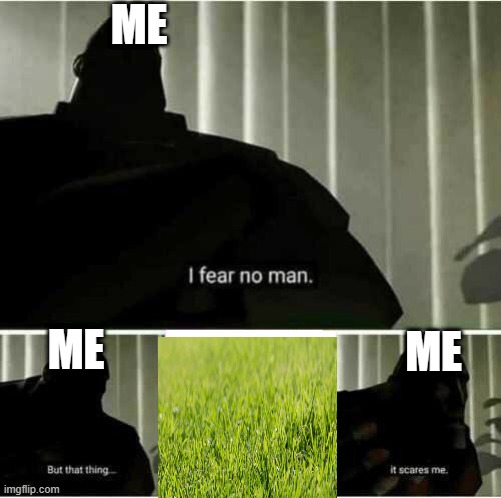grass | ME; ME; ME | image tagged in i fear no man | made w/ Imgflip meme maker