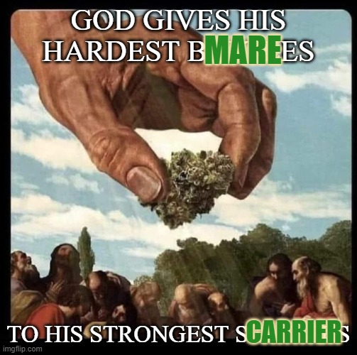 mare carrier | GOD GIVES HIS HARDEST BATTLES; MARE; TO HIS STRONGEST SOLDIERS; CARRIER | image tagged in god gives man cannabis | made w/ Imgflip meme maker