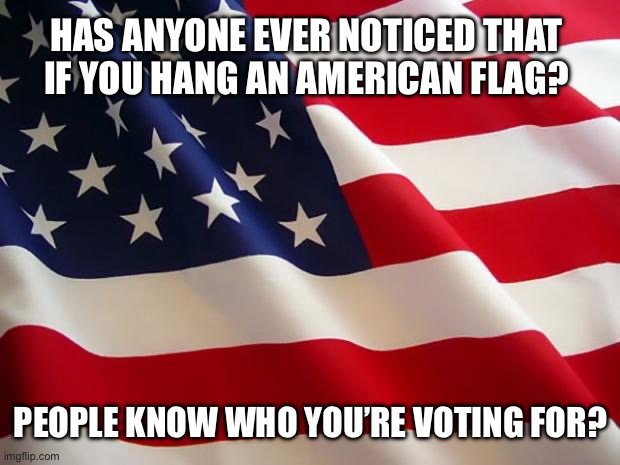 America | HAS ANYONE EVER NOTICED THAT IF YOU HANG AN AMERICAN FLAG? PEOPLE KNOW WHO YOU’RE VOTING FOR? | image tagged in american flag | made w/ Imgflip meme maker