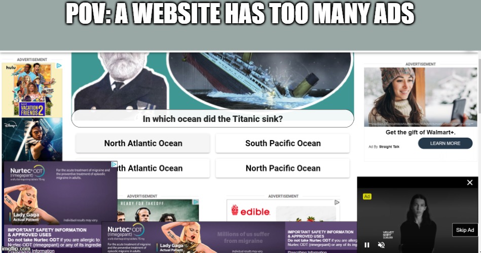 omg | POV: A WEBSITE HAS TOO MANY ADS | image tagged in lol,funny,ad,pop up,omg,fr | made w/ Imgflip meme maker
