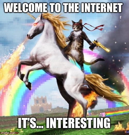 Welcome To The Internets | WELCOME TO THE INTERNET; IT’S… INTERESTING | image tagged in memes,welcome to the internets | made w/ Imgflip meme maker