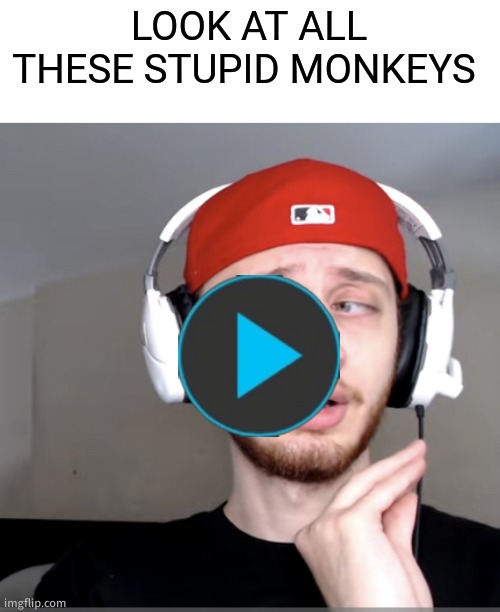 lol | LOOK AT ALL THESE STUPID MONKEYS | made w/ Imgflip meme maker