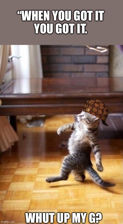 Kitty Got Swag | “WHEN YOU GOT IT
YOU GOT IT. WHUT UP MY G? | image tagged in memes,cool cat stroll | made w/ Imgflip meme maker