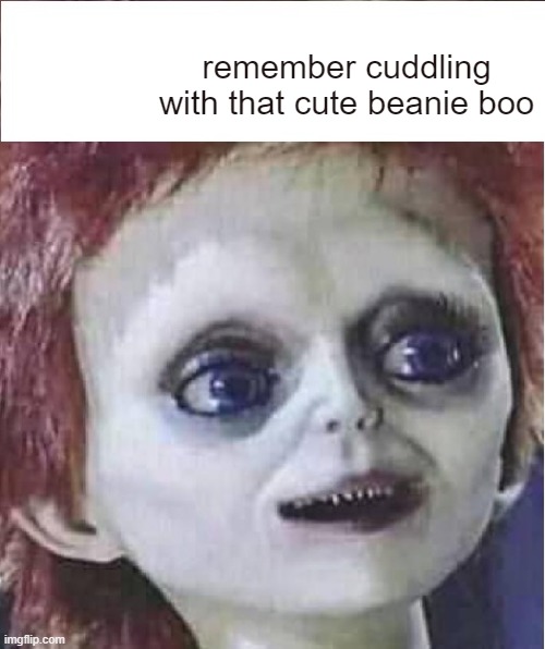 Ay que aburrido | remember cuddling with that cute beanie boo | image tagged in ay que aburrido | made w/ Imgflip meme maker