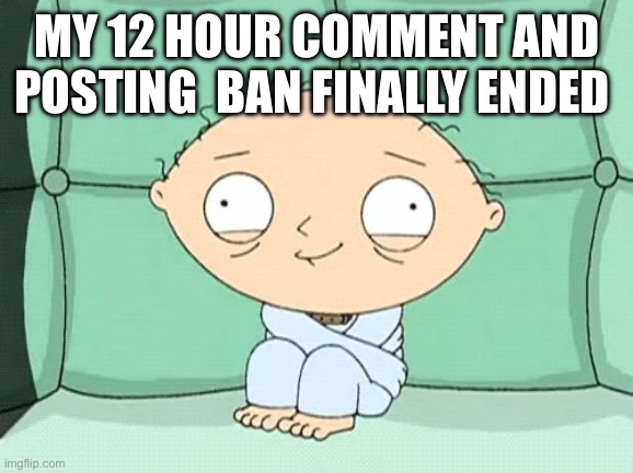 stewie straight jacket | MY 12 HOUR COMMENT AND POSTING  BAN FINALLY ENDED | image tagged in stewie straight jacket | made w/ Imgflip meme maker