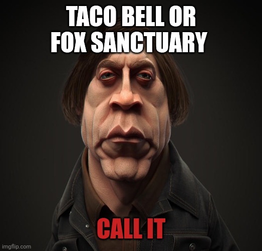 Call it | TACO BELL OR FOX SANCTUARY; CALL IT | image tagged in call it,fox,sanctuary cities | made w/ Imgflip meme maker