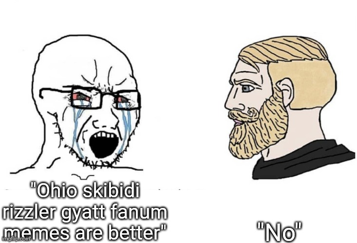 Soyboy Vs Yes Chad | "Ohio skibidi rizzler gyatt fanum memes are better" "No" | image tagged in soyboy vs yes chad | made w/ Imgflip meme maker