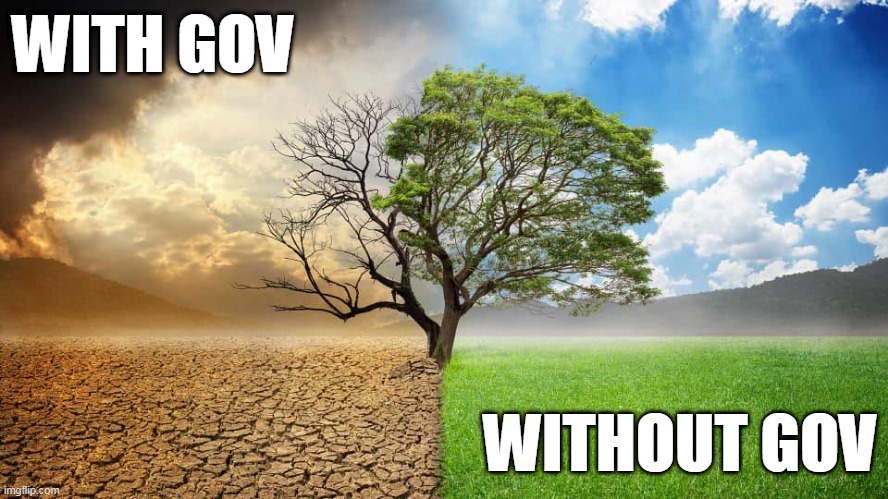 With government & Without government | WITH GOV; WITHOUT GOV | image tagged in government,criminal | made w/ Imgflip meme maker