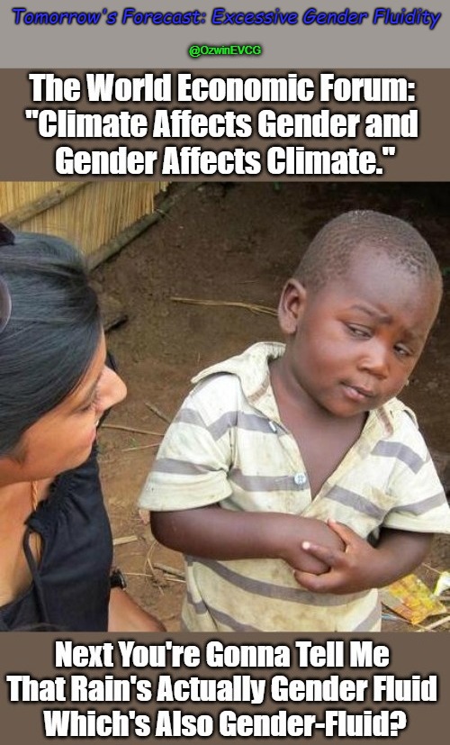 doubly inspiring WTH WEF (01 of 02) [Vote Below] | Tomorrow's Forecast: Excessive Gender Fluidity; @OzwinEVCG | image tagged in world economic forum,gender fluid,clown world,queer climate,quotes and puns,climate change | made w/ Imgflip meme maker
