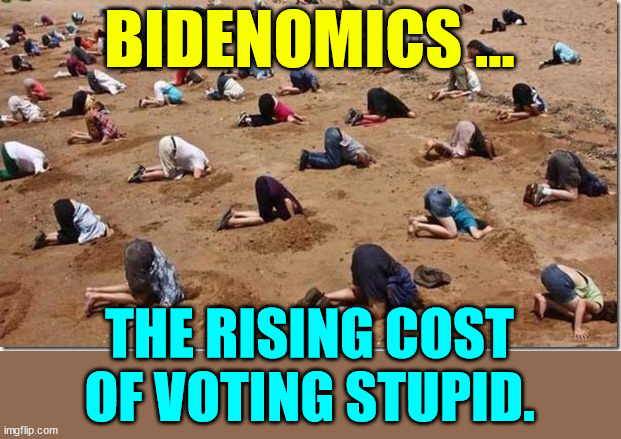 You know its true... | BIDENOMICS ... THE RISING COST OF VOTING STUPID. | image tagged in head in sand,bidenomics,cost of voting stupid | made w/ Imgflip meme maker