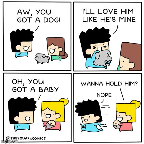 No baby | image tagged in baby,dogs,dog,babies,comics,comics/cartoons | made w/ Imgflip meme maker