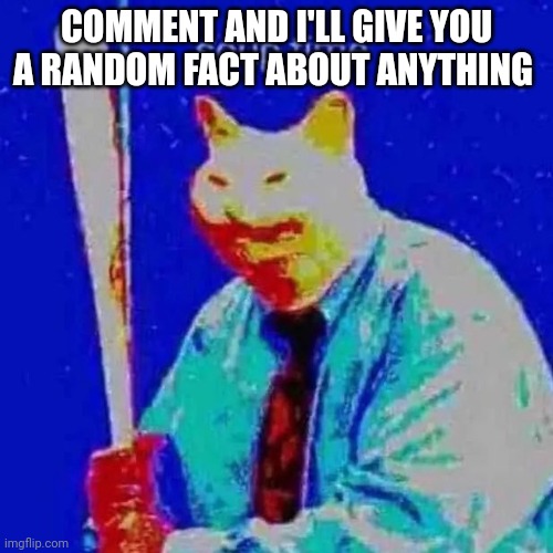 soup time | COMMENT AND I'LL GIVE YOU A RANDOM FACT ABOUT ANYTHING | image tagged in soup time | made w/ Imgflip meme maker