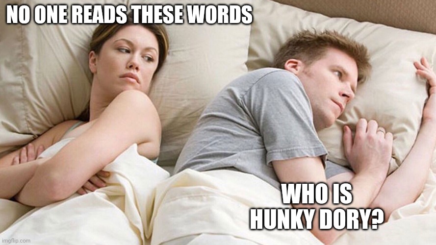 He's probably thinking about girls | NO ONE READS THESE WORDS; WHO IS HUNKY DORY? | image tagged in he's probably thinking about girls | made w/ Imgflip meme maker