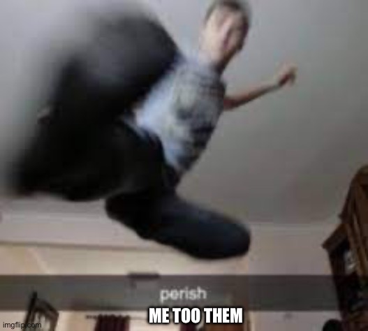 Perish kick | ME TOO THEM | image tagged in perish kick | made w/ Imgflip meme maker