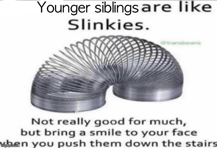 Some _ are like slinkies | Younger siblings | image tagged in some _ are like slinkies | made w/ Imgflip meme maker
