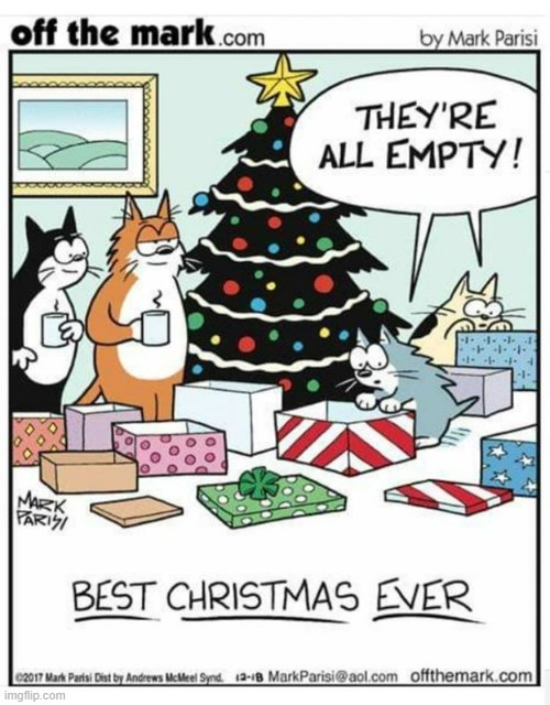 image tagged in memes,comics/cartoons,cats,boxes,empty,the best | made w/ Imgflip meme maker