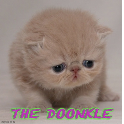 Say hello to the Doonkle | made w/ Imgflip meme maker