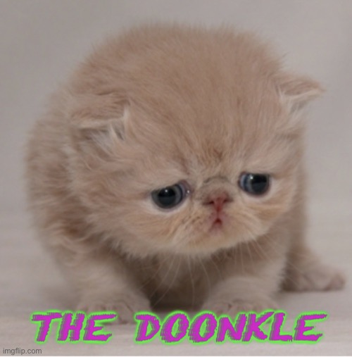 The doonkle | image tagged in the doonkle | made w/ Imgflip meme maker
