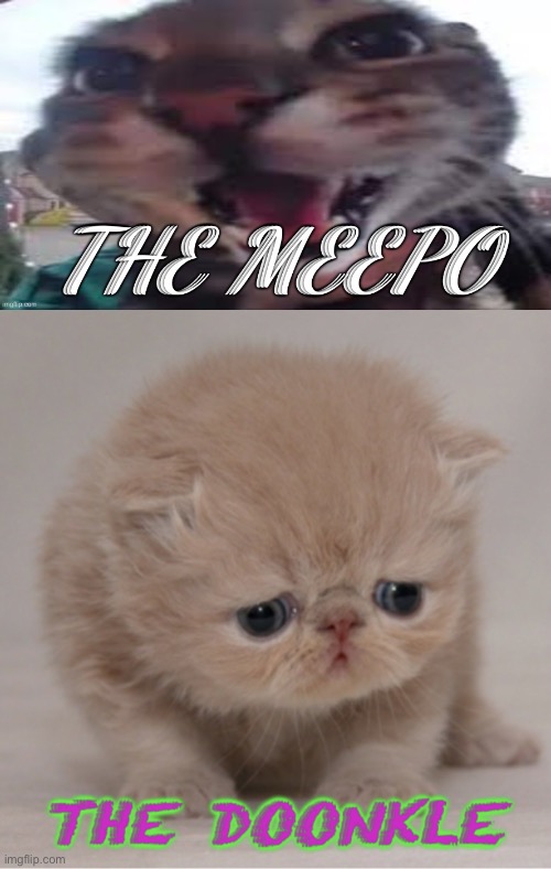 ChaosCTRL through the new shared alt | image tagged in the meepo,the doonkle | made w/ Imgflip meme maker