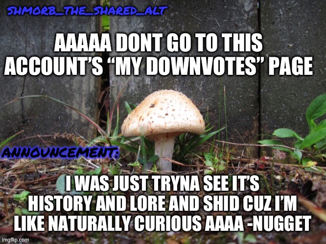 Shmorb temp | AAAAA DONT GO TO THIS ACCOUNT’S “MY DOWNVOTES” PAGE; I WAS JUST TRYNA SEE IT’S HISTORY AND LORE AND SHID CUZ I’M LIKE NATURALLY CURIOUS AAAA -NUGGET | image tagged in shmorb temp | made w/ Imgflip meme maker