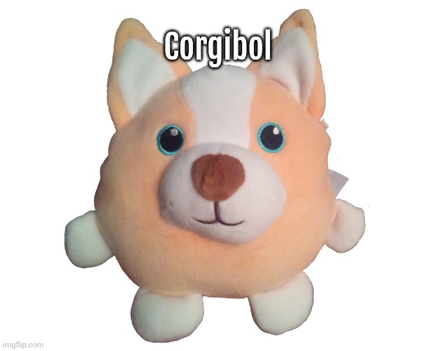 Corgibol plush | Corgibol | image tagged in corgibol plush | made w/ Imgflip meme maker