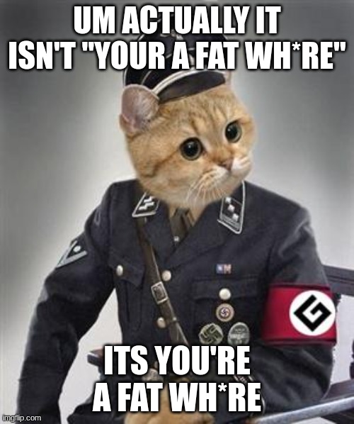 Um Actually | UM ACTUALLY IT ISN'T "YOUR A FAT WH*RE"; ITS YOU'RE A FAT WH*RE | image tagged in grammar nazi cat | made w/ Imgflip meme maker