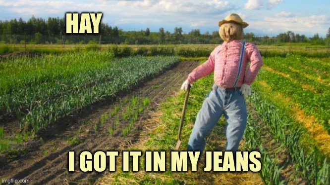 Out standing in his field | HAY; I GOT IT IN MY JEANS | image tagged in scarecrow in field,memes | made w/ Imgflip meme maker