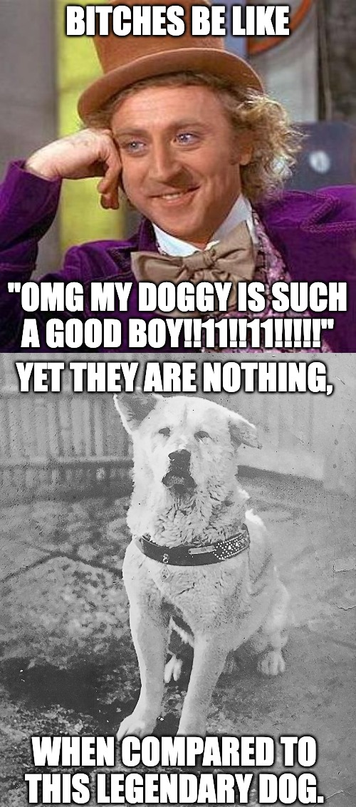 BITCHES BE LIKE; "OMG MY DOGGY IS SUCH A GOOD BOY!!11!!11!!!!!"; YET THEY ARE NOTHING, WHEN COMPARED TO THIS LEGENDARY DOG. | image tagged in memes,creepy condescending wonka,dog,hachiko,japan,japanese | made w/ Imgflip meme maker