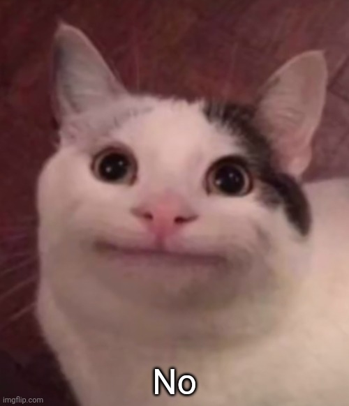 fake smile cat | No | image tagged in fake smile cat | made w/ Imgflip meme maker
