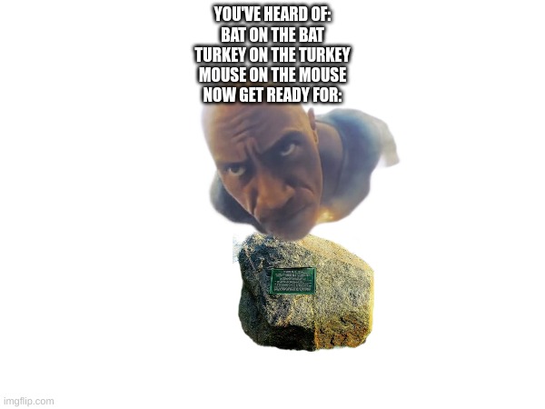 YOU'VE HEARD OF:
BAT ON THE BAT
TURKEY ON THE TURKEY
MOUSE ON THE MOUSE
NOW GET READY FOR: | image tagged in the rock on rock | made w/ Imgflip meme maker