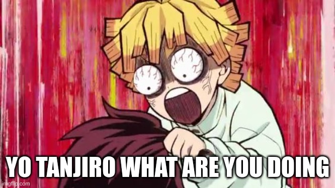 ? | YO TANJIRO WHAT ARE YOU DOING | image tagged in zenitsu crazy | made w/ Imgflip meme maker