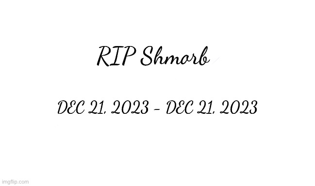RIP Shmorb | RIP Shmorb; DEC 21, 2023 - DEC 21, 2023 | made w/ Imgflip meme maker