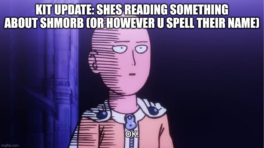 Saitama "OK"  | KIT UPDATE: SHES READING SOMETHING ABOUT SHMORB (OR HOWEVER U SPELL THEIR NAME) | image tagged in saitama ok | made w/ Imgflip meme maker