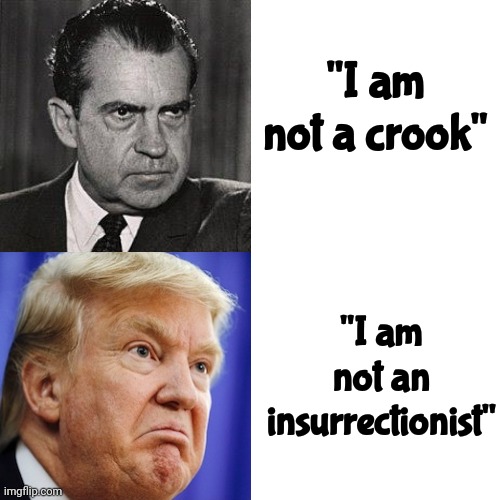 Yeah, Yeah.  Whatever | "I am not a crook"; "I am not an insurrectionist" | image tagged in memes,drake hotline bling,whatever,trump lies,lock him up,scumbag trump | made w/ Imgflip meme maker