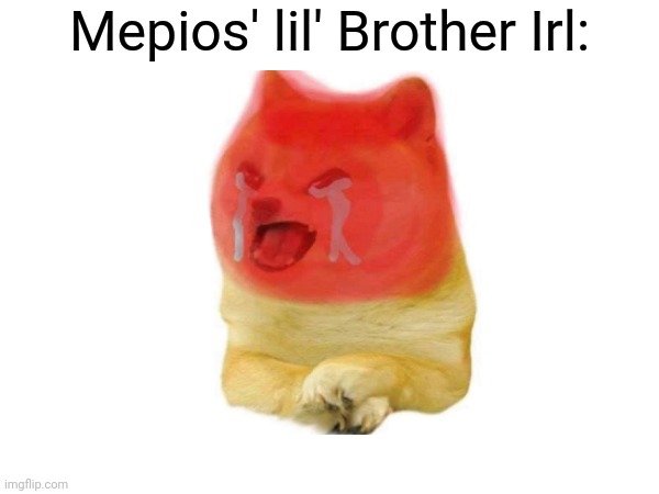 . | Mepios' lil' Brother Irl: | image tagged in young rage cheems,pro-fandom,mepios sucks | made w/ Imgflip meme maker