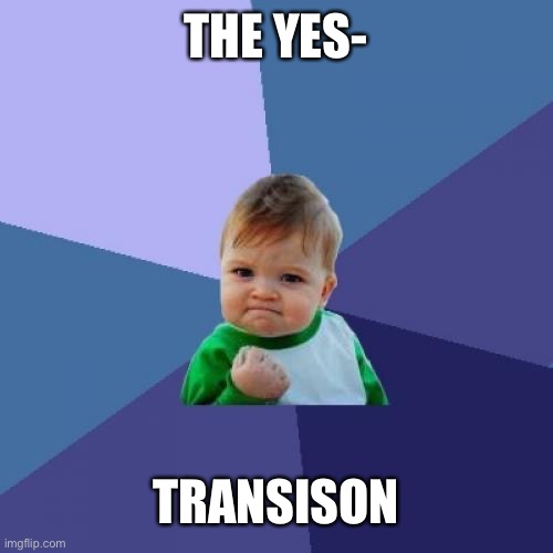 Success Kid | THE YES-; TRANSISON | image tagged in memes,success kid | made w/ Imgflip meme maker