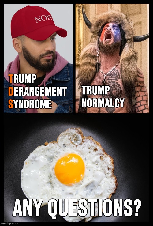 Your brain on Trump. | image tagged in donald trump,tds,trump derangement syndrome,brain on drugs,goofball with horns on his head,brains are for woke libtards | made w/ Imgflip meme maker