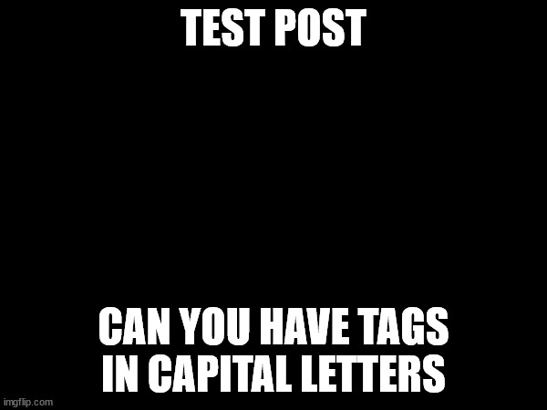 TEST POST; CAN YOU HAVE TAGS IN CAPITAL LETTERS | image tagged in test | made w/ Imgflip meme maker