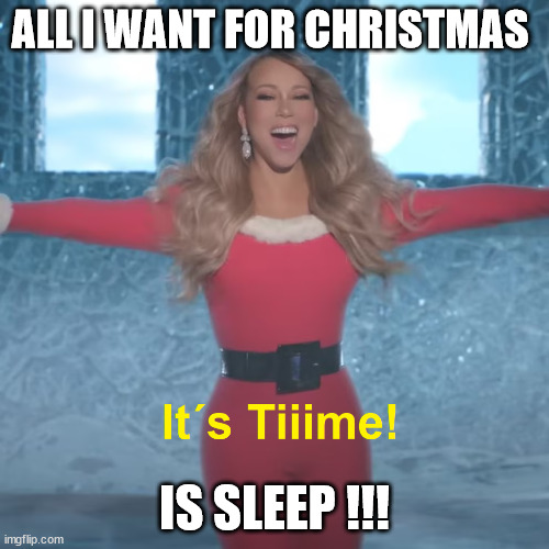 too tired for this shit | ALL I WANT FOR CHRISTMAS; IS SLEEP !!! | image tagged in its time,xmas,christmas,merry christmas,sleep | made w/ Imgflip meme maker