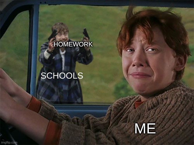 Harry with guns, scared Ron | SCHOOLS ME HOMEWORK | image tagged in harry with guns scared ron | made w/ Imgflip meme maker