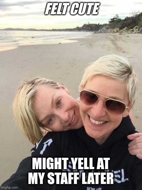 Ellen DeGeneres is mean | FELT CUTE; MIGHT YELL AT MY STAFF LATER | image tagged in memes,ellen degeneres,scandal,felt cute | made w/ Imgflip meme maker