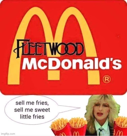 Fries | image tagged in bad pun | made w/ Imgflip meme maker