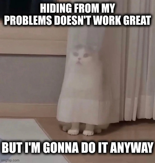 meow meow coping mechanism | HIDING FROM MY PROBLEMS DOESN'T WORK GREAT; BUT I'M GONNA DO IT ANYWAY | image tagged in memes | made w/ Imgflip meme maker